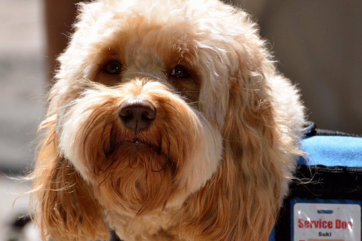 image – 2026-02-05T171857.520